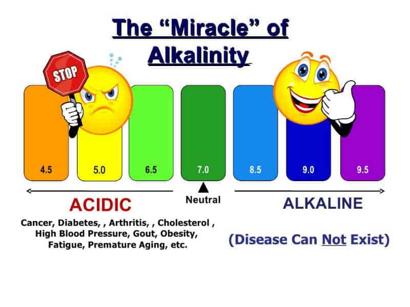 Acidity vs Alkalinity - Dr Sebi