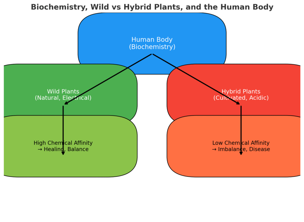 Biochemistry, Wild vs Hybrid Plants and the Human Body