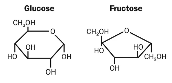 Carbon Hydrogen Oxygen