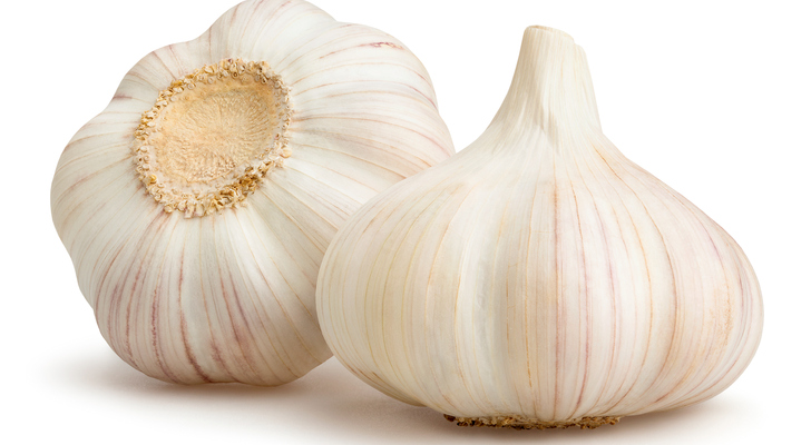 Garlic