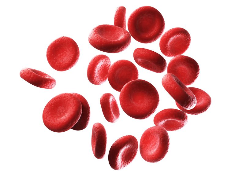 Red blood cells