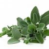 sage