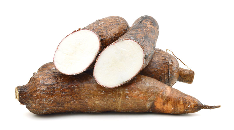 cassava - Dr Sebi