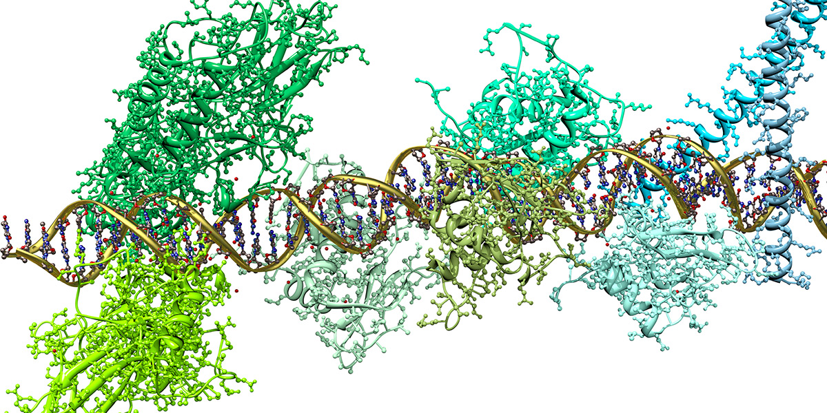 biochemistry