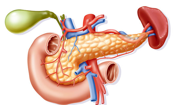 pancreas - Dr Sebi