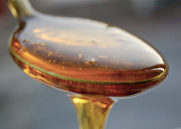 agave nectar