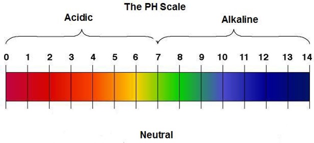 ph scale