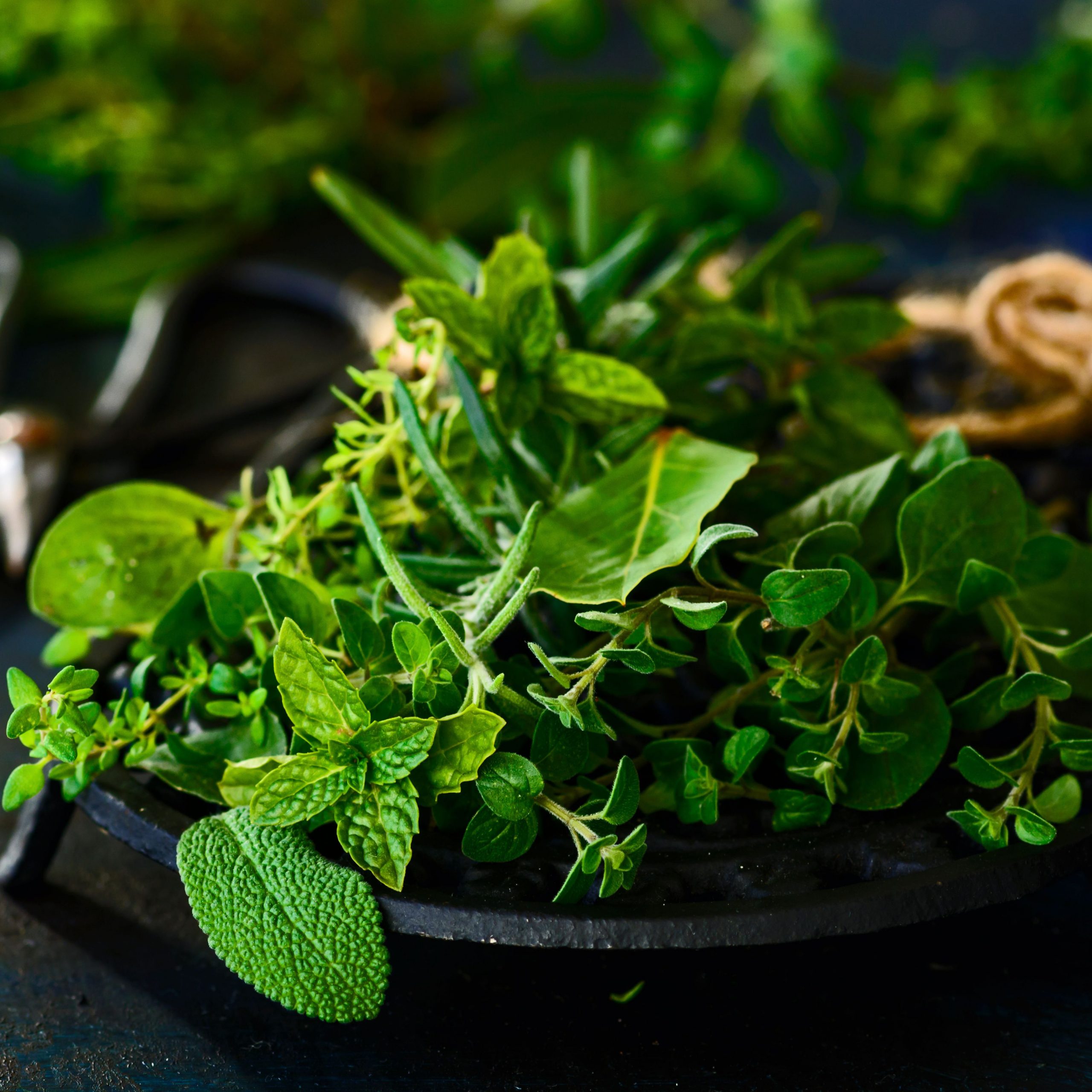 Herbs - DR SEBI - FOLLOW THE PATH OF NATURE