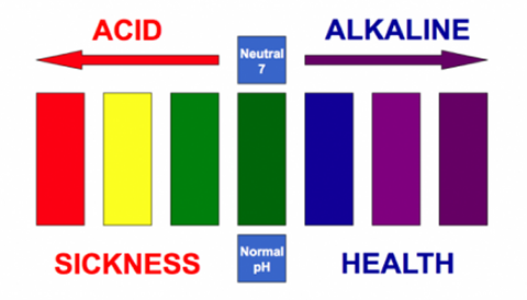 acid-alkaline sebi