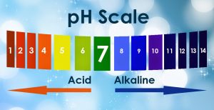 The African Bio-Mineral Balance » healing with alkaline plants the Dr ...