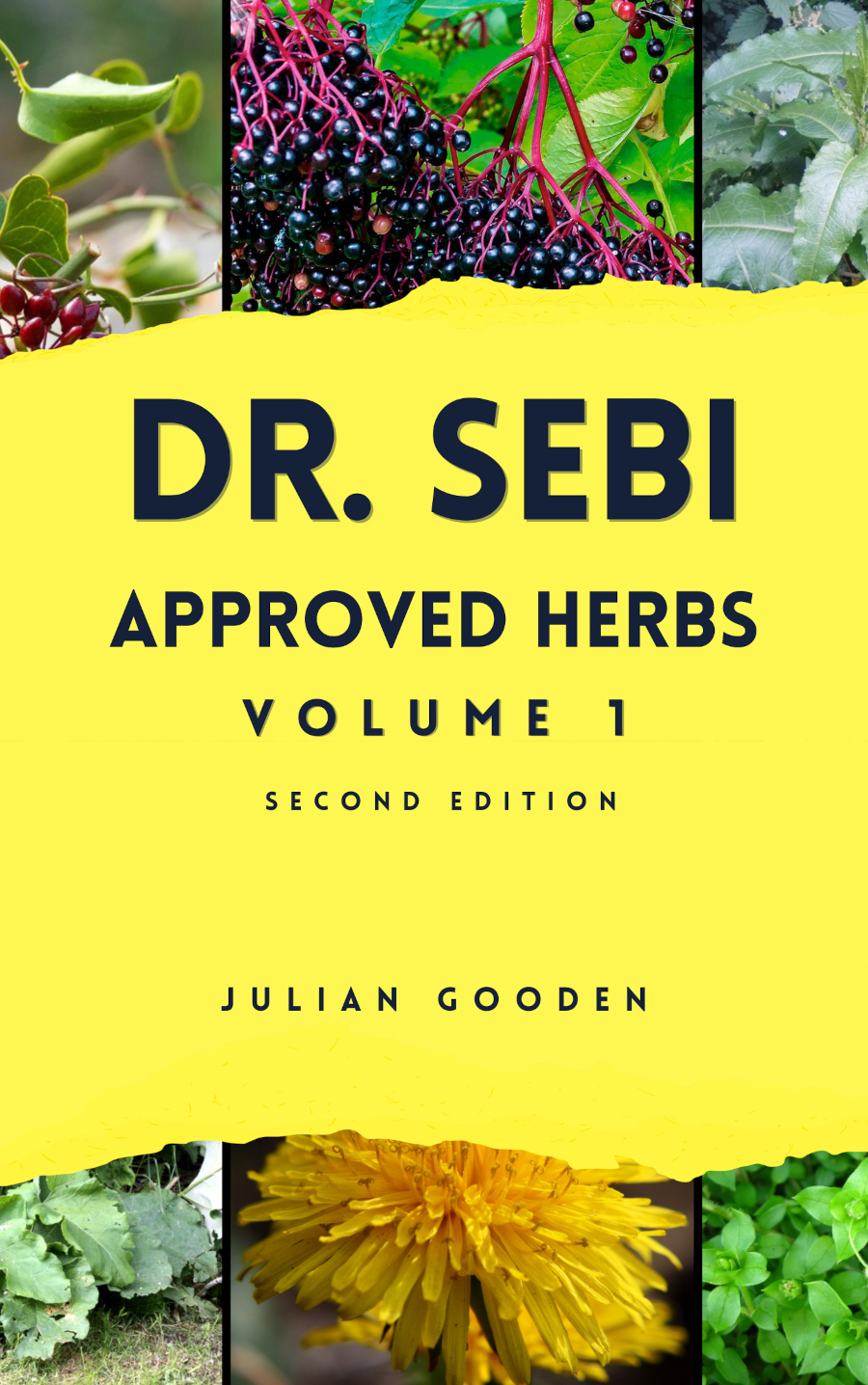 DR. SEBI APPROVED HERBS - VOL 1