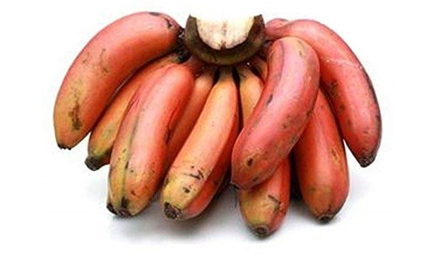 Red bananas