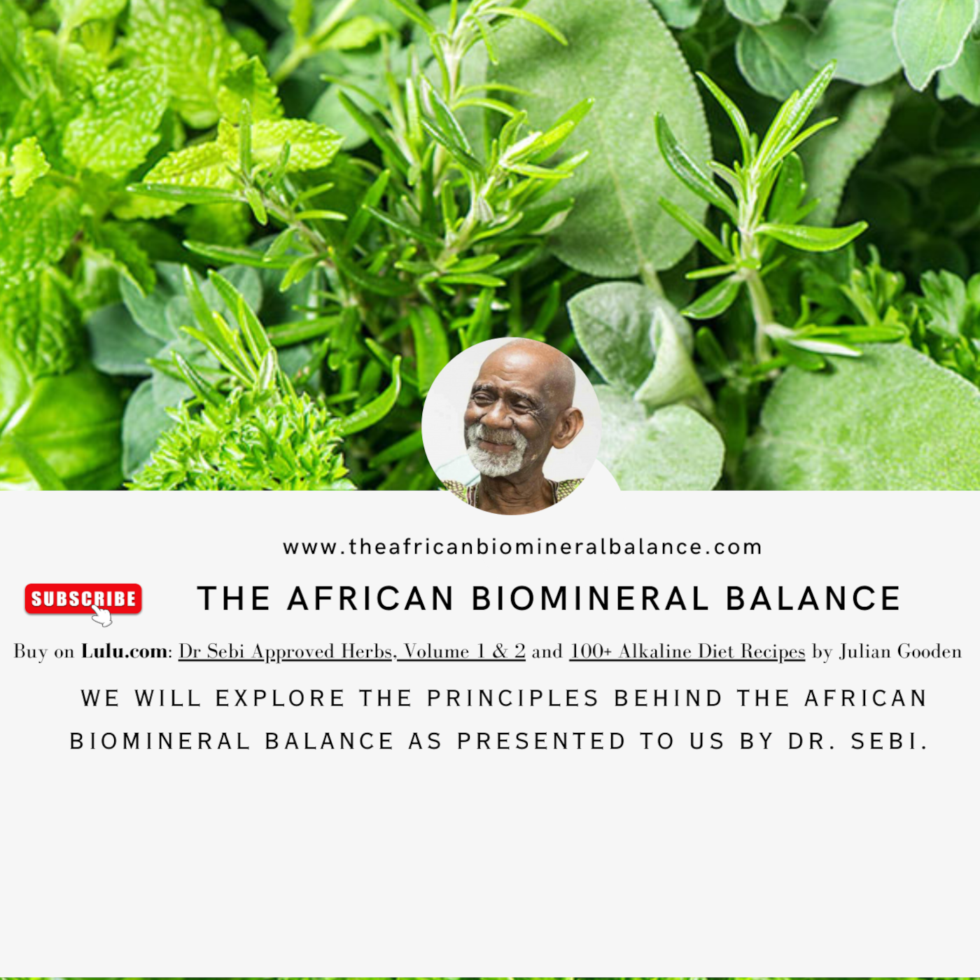 The African Bio-Mineral Balance