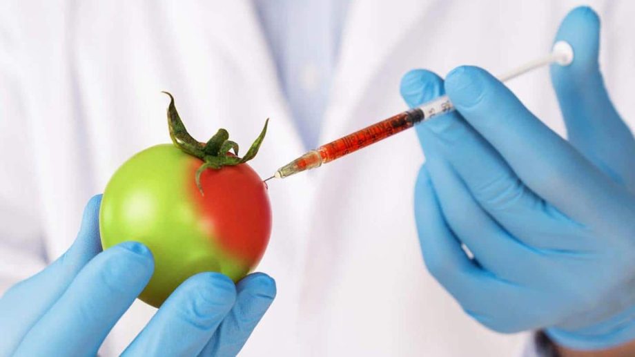 Genetically Modified Foods