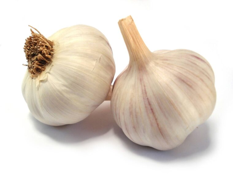 Why is Garlic Considered Bad Garlic