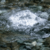 The Importance of Hydration Spring water