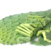 5 Dr. Sebi-Approved Nopal Recipes for Alkaline Wellness Nopal cactus
