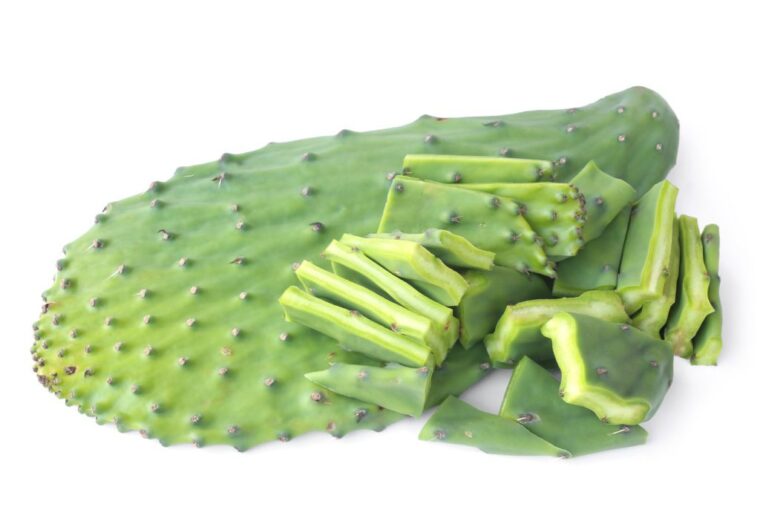 5 Dr. Sebi-Approved Nopal Recipes for Alkaline Wellness Nopal cactus