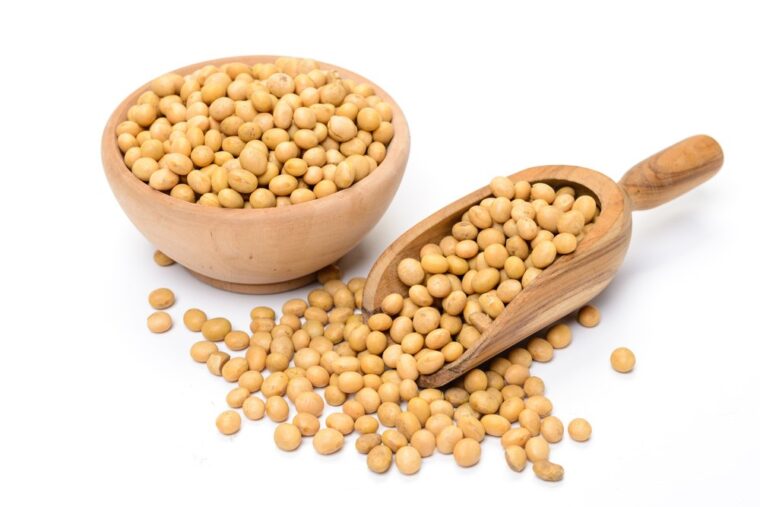 Why Dr. Sebi Said No to Soy: The Truth Behind This “Health Food” Soyabeans, Soybeans