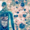Understanding Water-Soluble vs. Fat-Soluble Toxins: How Your Body Handles Detoxification The body and toxins