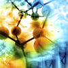 Biochemistry from a Natural/Dr. Sebi Perspective Biochemistry
