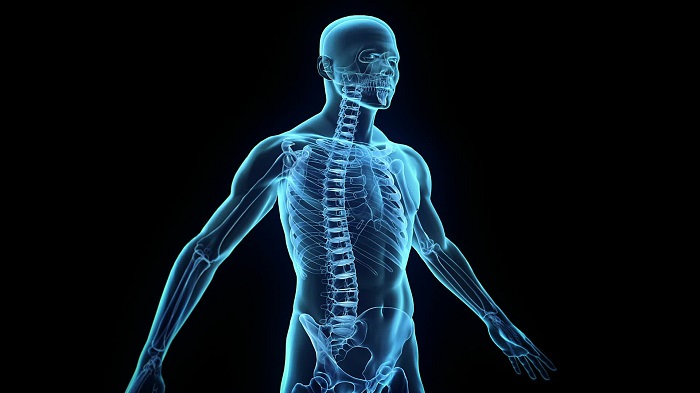 The Truth About Disease: Breaking Free From the Germ Theory the body