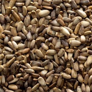 Milk Thistle seeds